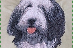 beggin-4-fun-embroidery-bearded-collie