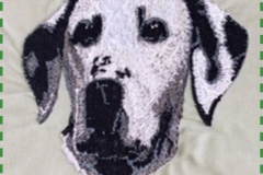 beggin-4-fun-embroidery-dalmation