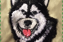 siberian-husky